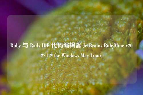 Ruby 与 Rails IDE 代码编辑器 JetBrains RubyMine v2022.1.2 for Windows Mac Linux