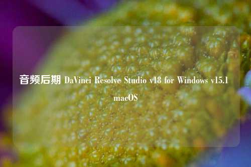 音频后期 DaVinci Resolve Studio v18 for Windows v15.1 macOS