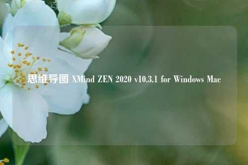 思维导图 XMind ZEN 2020 v10.3.1 for Windows Mac