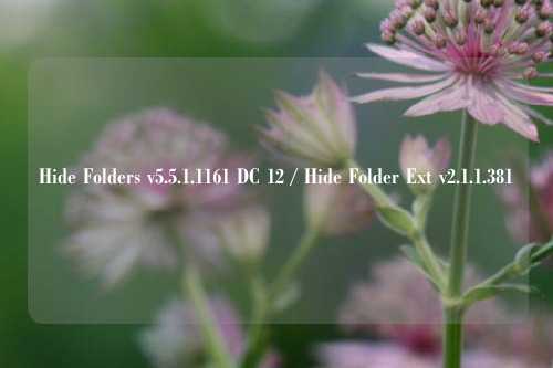 Hide Folders v5.5.1.1161 DC 12 / Hide Folder Ext v2.1.1.381