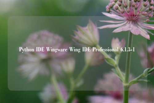 Python IDE Wingware Wing IDE Professional 6.1.3-1